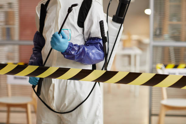 Professional Odor Removal technician working in Chandler, IN