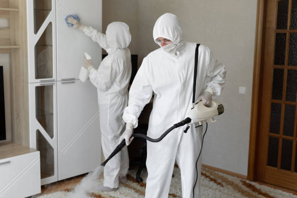 24/7 Emergency Odor Removal experts in Chandler, IN