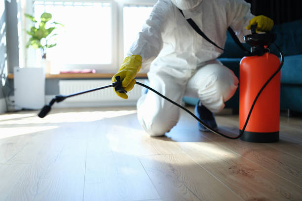 Reliable Odor Removal contractor in Chandler, IN by Trauma Clean Pros